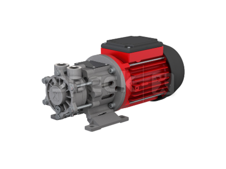 德国SPECK品牌NPY-2251-MK高温油泵高效率离心泵节能